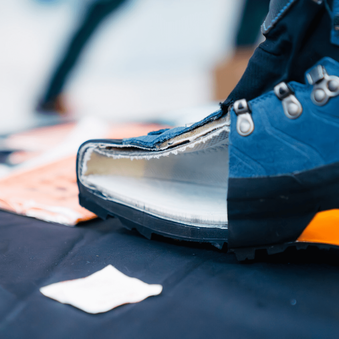 Cross-section of a blue shoe